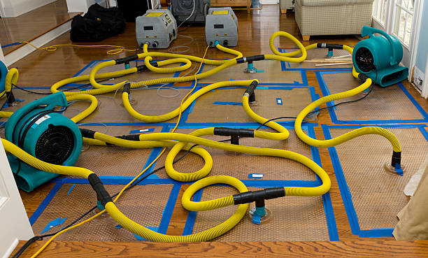 Professional Flood Damage Restoration technician working in New Carlisle, OH